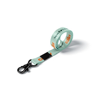 Lanyard